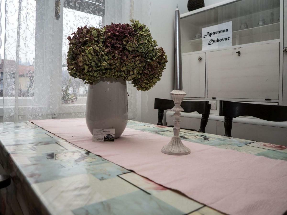 Apartment Dubovac Karlovac Eksteriør billede